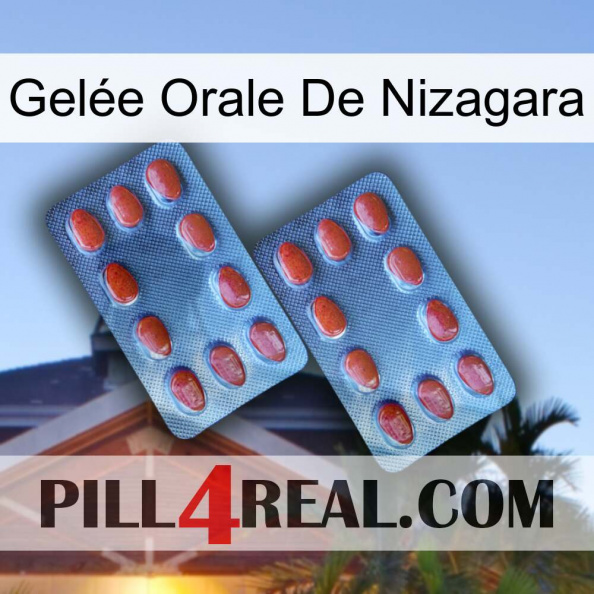 Gelée Orale De Nizagara 05